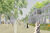 Visualisation: Flying junction in Stuttgart Rosenstein
