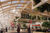 Urban Dome Yi Liu 15