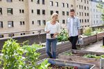 A man and a woman on a flat roof in a city, with other house facades in the background. On the roof are raised garden beds, both take care of the plants.